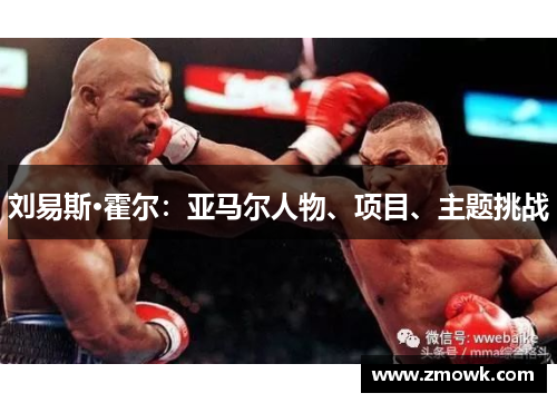 刘易斯·霍尔：亚马尔人物、项目、主题挑战